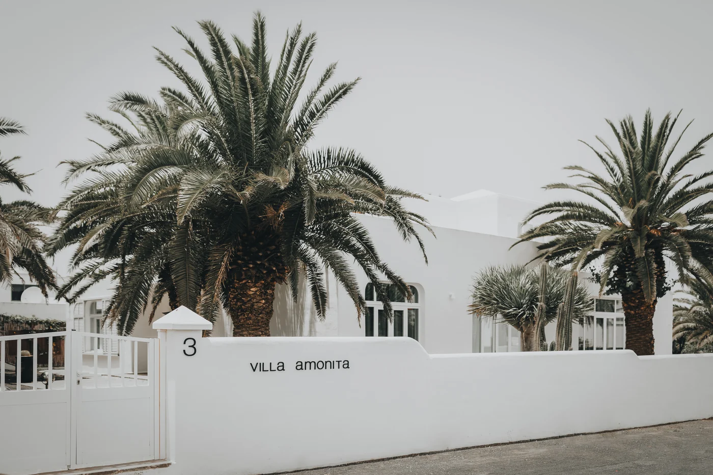 White walls, entrance gates and tall palms in Tiagua.