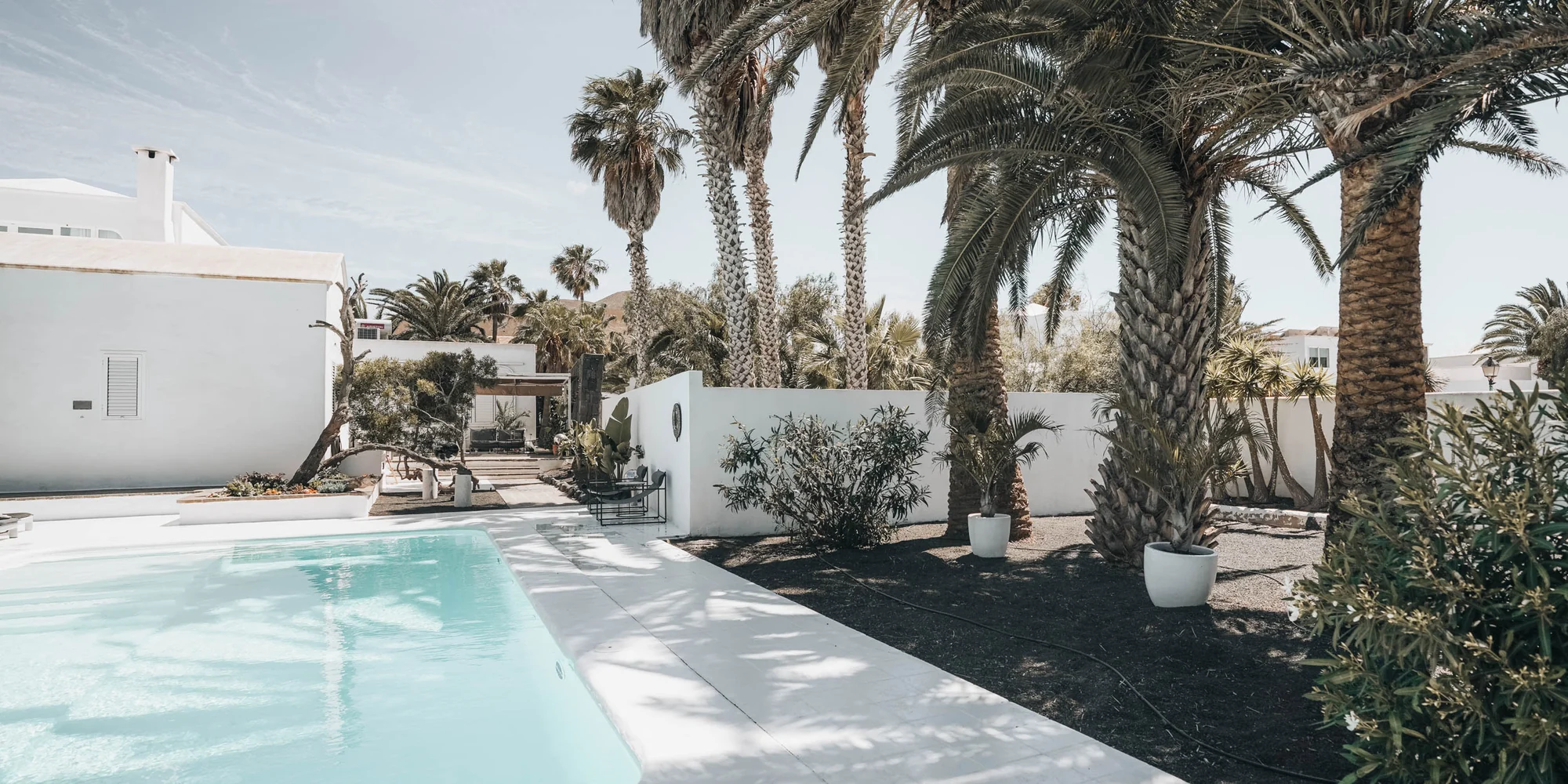 Amonita’s private pool beside the palm-filled garden.