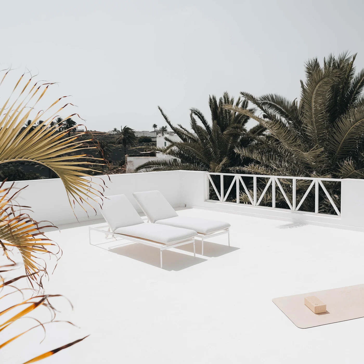 White loungers on the roof terrace among the palms.