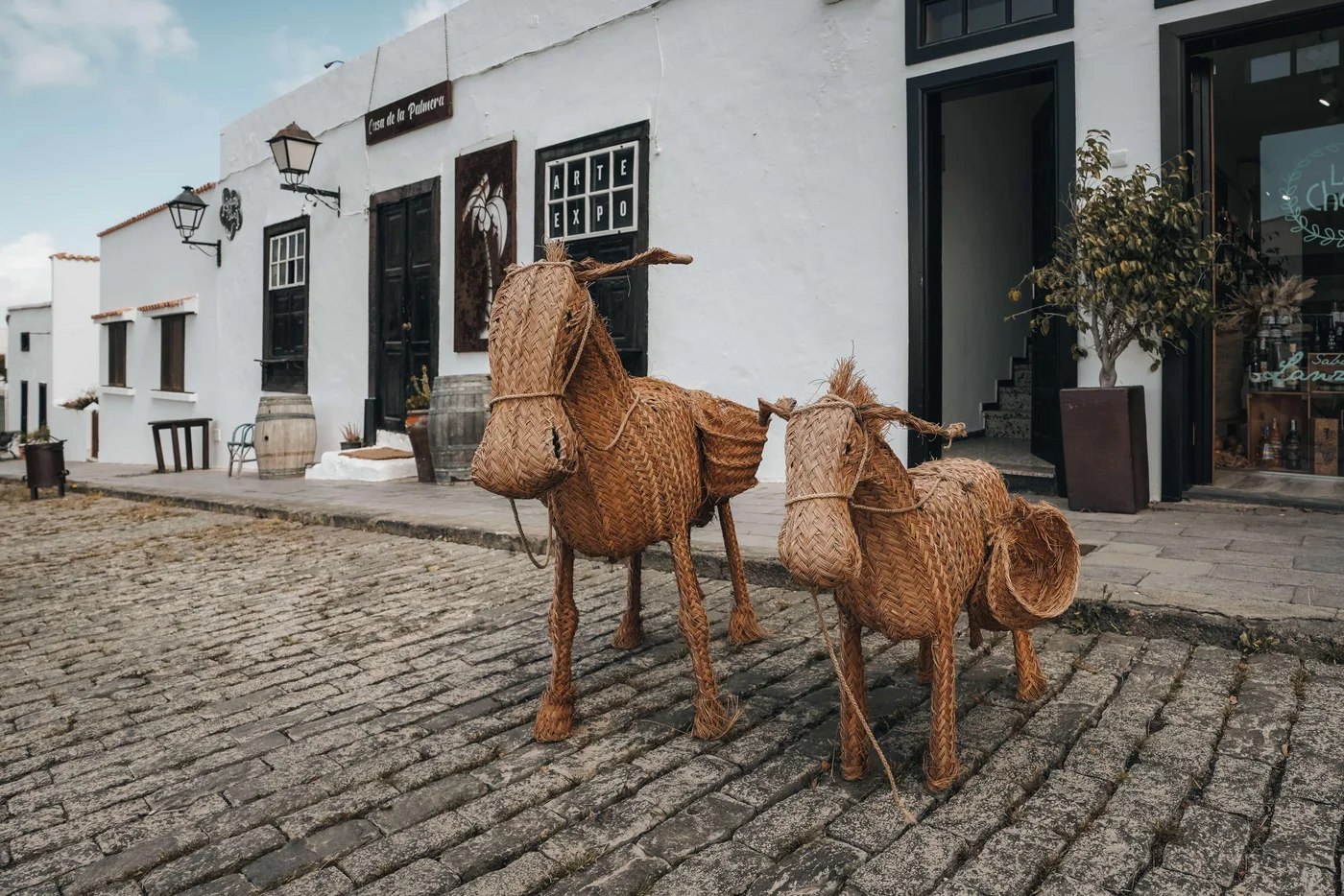 Palmera shop · Lanzarote